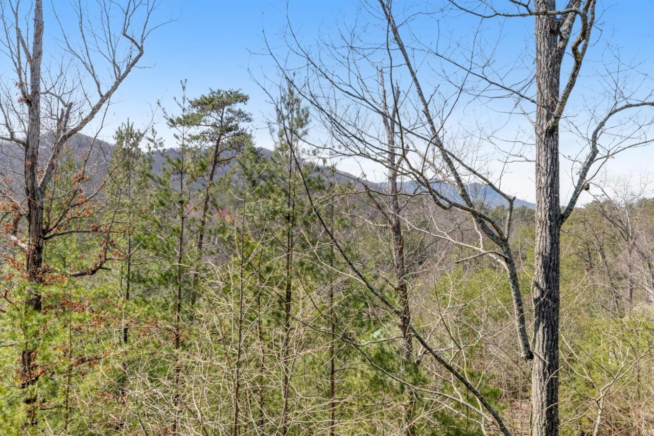 Papaw'S Bear Den Βίλα Pigeon Forge Εξωτερικό φωτογραφία